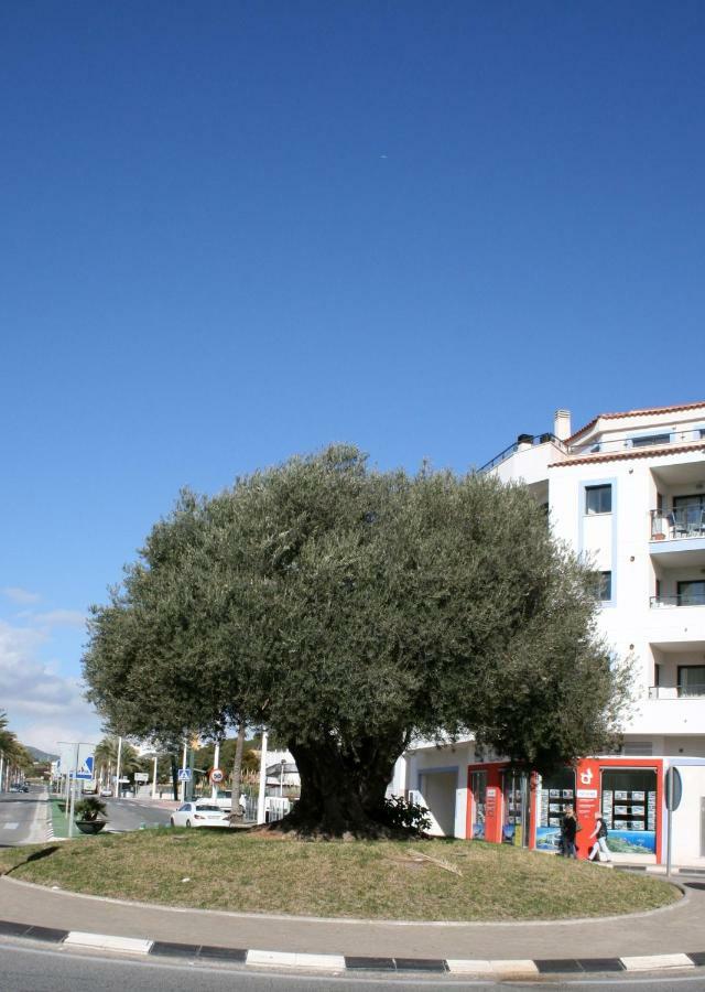 מוריירה Appartement Monica מראה חיצוני תמונה
